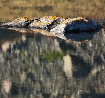 Каменный крокодил